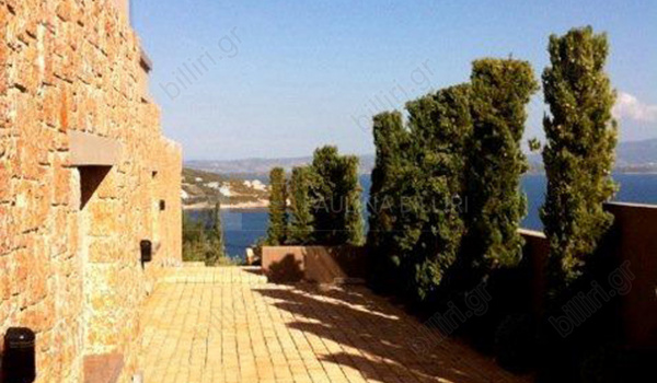 Εξωτερική όψη - Outdoor view